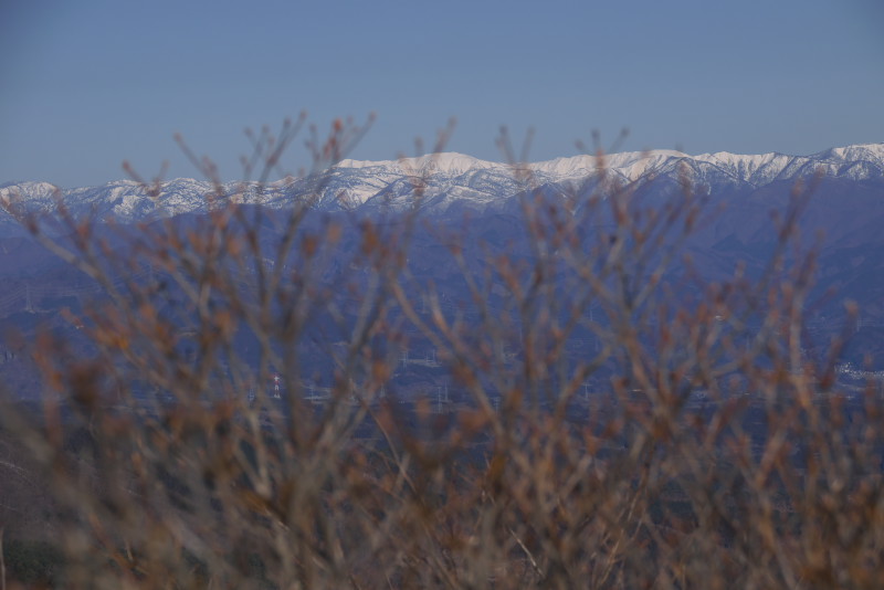 DSC_0444.jpg